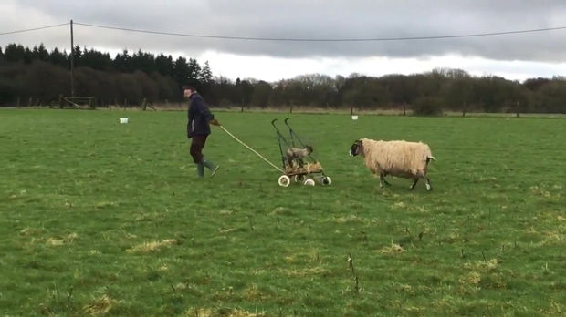 YESスタッフの過ごし方